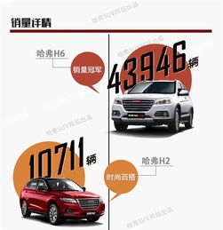 網通社汽車佳木斯安信 專業銷售服務，驅動龍江出行新體驗