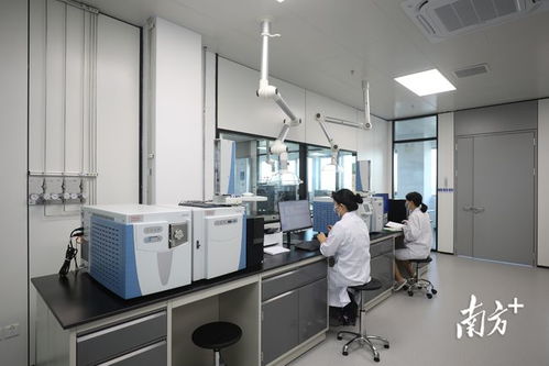 金灣生物醫(yī)藥產(chǎn)業(yè)研究院試運營 打造全鏈條新藥研發(fā)服務新引擎