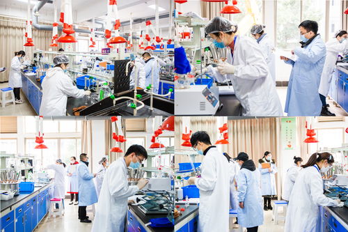 2022年省職業(yè)院校技能大賽高職生物與化工類化學實驗技術(shù)項目在我校圓滿舉行，聚焦生物化工產(chǎn)品技術(shù)研發(fā)