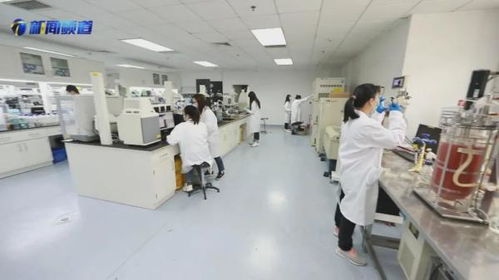 十項(xiàng)行動(dòng)見行見效，京津冀協(xié)同發(fā)展走深走實(shí)——國家合成生物技術(shù)創(chuàng)新中心助力生物化工產(chǎn)業(yè)升級(jí)