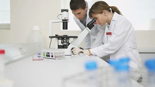 化學(xué)、化工與生物化工專業(yè)就業(yè)前景分析