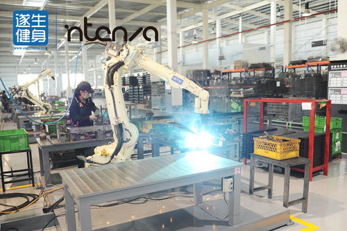 遂生健身 工藝與科技的碰撞——Intenza I系列有氧產品與生物化工技術研發的融合創新